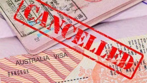 美国吊销中国留学生签证风波：如何应对与规划？